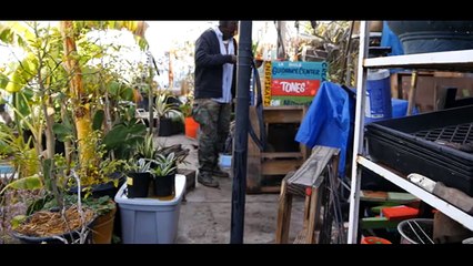 Gangster bahçıvan, organik üretim için gıda sektörüne savaş açtı