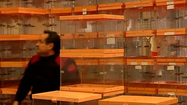 La Fiscalía prepara una querella por la compra de urnas de la Generalitat