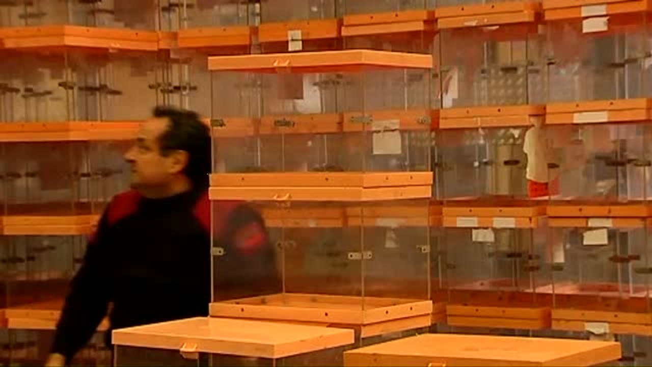 La Fiscalía prepara una querella por la compra de urnas de la Generalitat