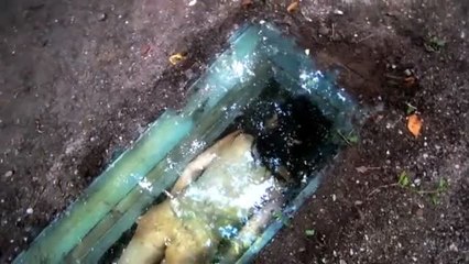 Arte contra la violencia machista