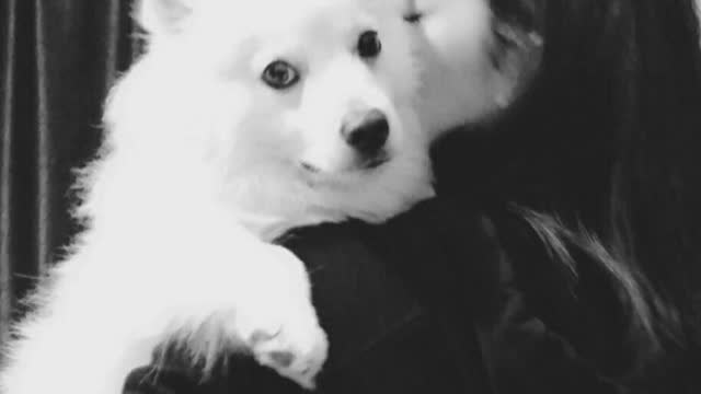 Desaparecida una joven española en Turquía junto a su novia, natural de Egipto