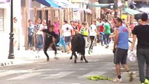 Beas del Segura (Jaén) celebra sus tradicionales toros ensogaos