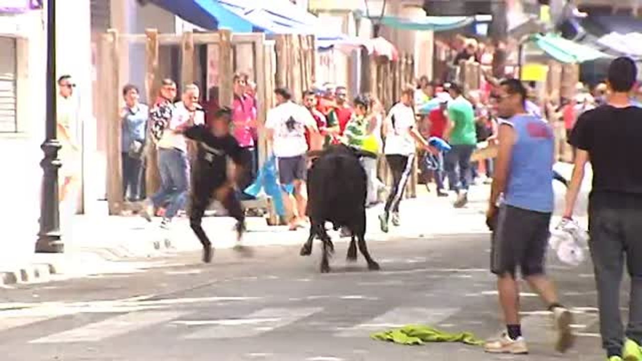 Beas del Segura (Jaén) celebra sus tradicionales toros ensogaos