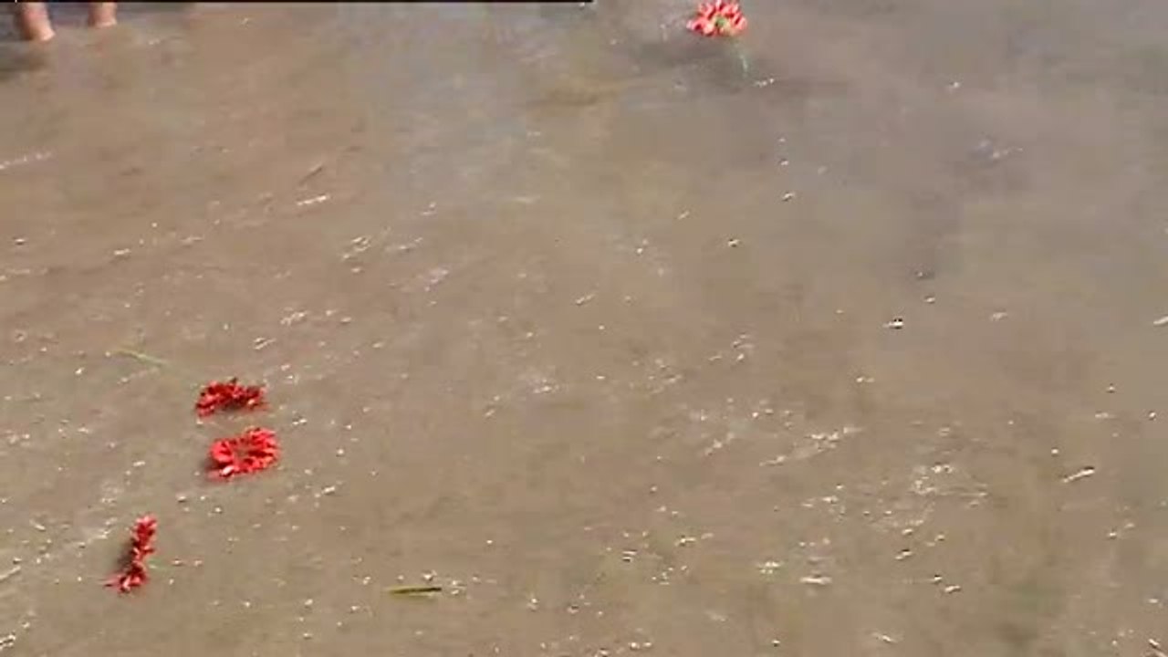 Viernes Santo de procesiones en toda España