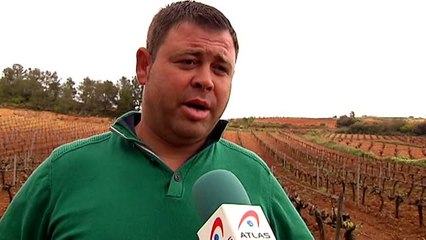 Las heladas provocan grandes daños en el campo