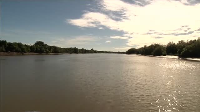 Australia se plantea permitir a los turistas cazar cocodrilos