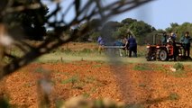 Hallan a una mujer y su hija de 18 meses ahorcadas en una finca en Mallorca