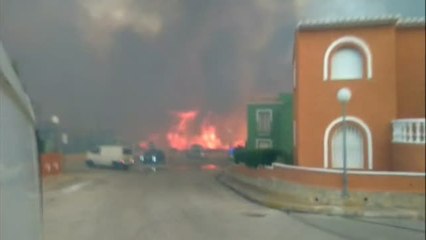 La espectacular floración de la cala quemada en Javea