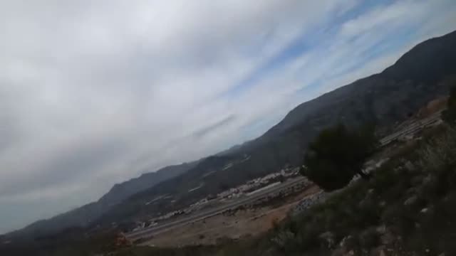 Un enjambre de abejas ataca a un grupo de ciclistas