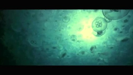 Océanos, el último territorio salvaje