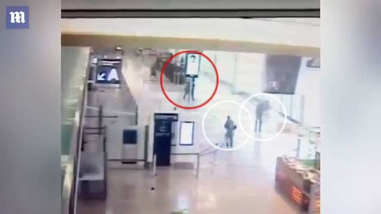 Los últimos atentados en Europa responden fielmente al llamamiento del Daesh "para asesinar infieles"