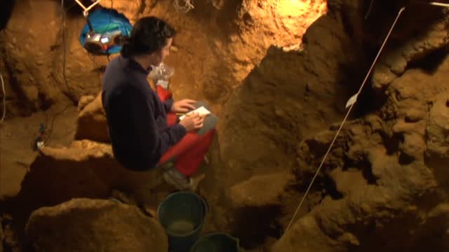 La corteza de álamo, la aspirina de los neandertales