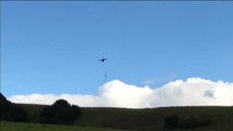 Drones cazadores de drones