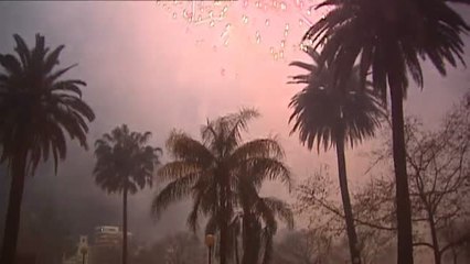 Unas Fallas de éxito