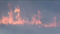 Un incendio forestal amenaza centenares de hogares en Florida