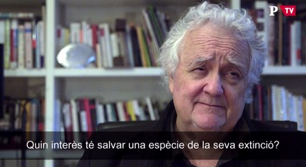 Entrevista Wagensberg - salvar espècies