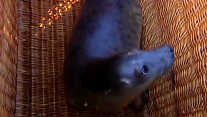 Lucero pone rumbo a Irlanda tras una accidentada aventura con final feliz