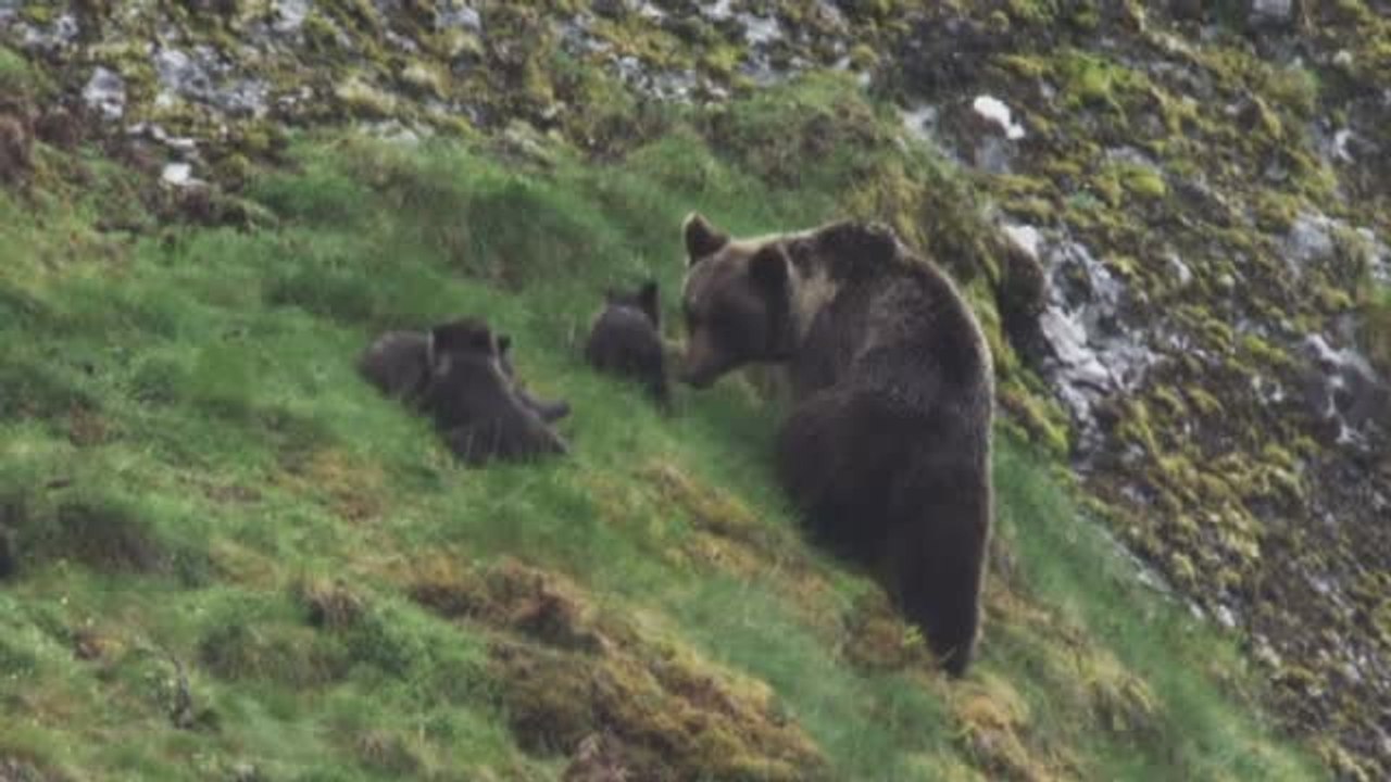 'Cantábrico' un documental sobre escenarios mágicos y salvajes