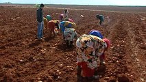 Las refugiadas sirias eligen entre comer o alimentar a sus hijos