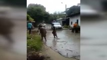Arrasada una localidad al sur de Colombia por fuertes inundaciones