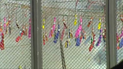 Día de la Mujer en las Fallas