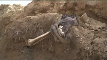 Descubren en Mosul una fosa común con más de 500 cuerpos