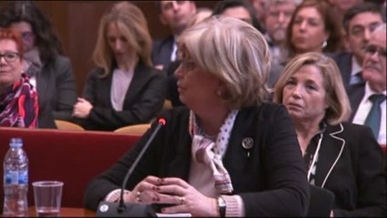 Rigau dice que no tuvo conciencia de estar desobedeciendo al TC