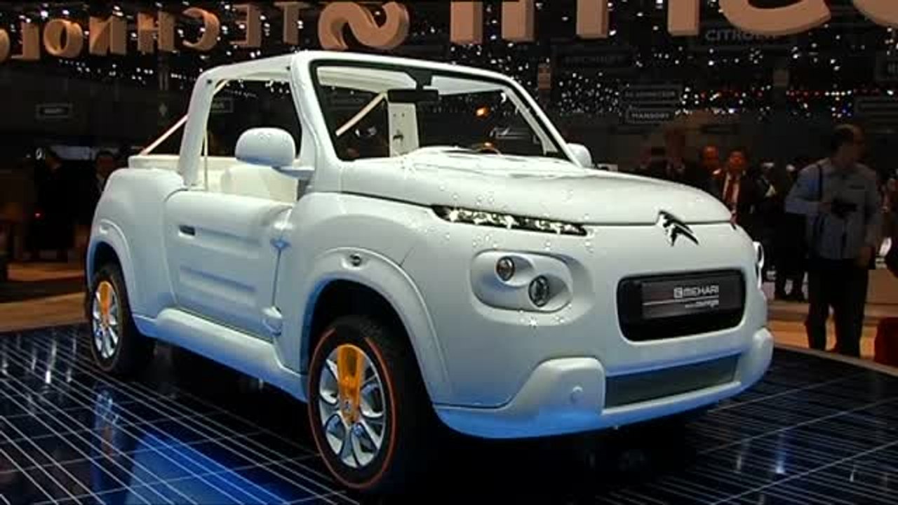 El grupo Peugeot-Citröen autoriza la compra de...