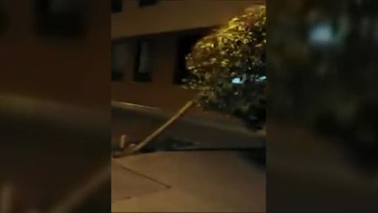 El temporal de viento remite tras barrer media España