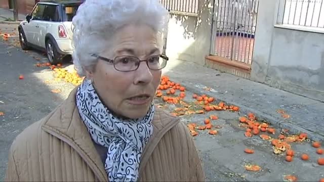 Peligro en Sevilla: las naranjas invaden las aceras