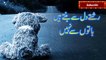 Rishte New WhatsApp Status Urdu Poetry  Urdu Shayari WhatsApp Status Video 2019