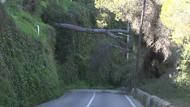 El temporal de viento provoca grandes destrozos