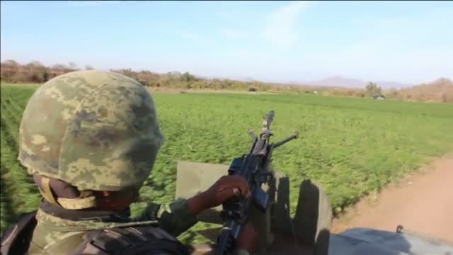 El Ejército mexicano desmantela una inmensa plantación de marihuana
