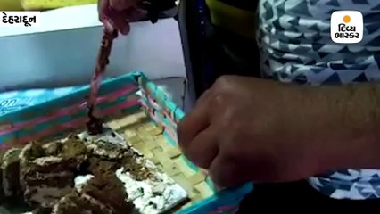 જન્મદિવસની કેક કાપતાં જ નીકળ્યું ઉંદરનું બચ્ચું, વેપારીનું પેટનું પાણી પણ ના હલ્યું