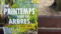 Saint-Brès : 7e  édition d'Un printemps sous les arbres