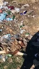 Disa mishtore në Prishtinë gjuajnë mbetjet, banorët e shqetësuar