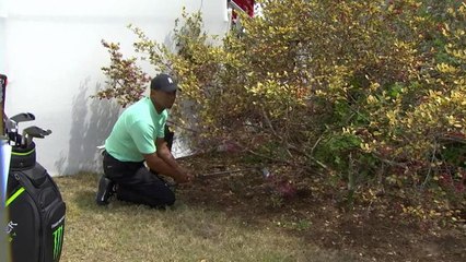 WGC Match play - Le Top 3 de Tiger Woods