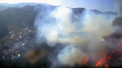 밭에서 시작된 불...20만㎡ 산림 잿더미 / YTN