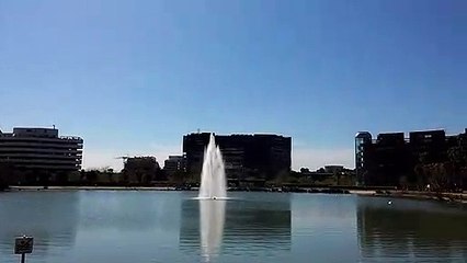 Bassin Jacques Coeur Montpellier Mars 2019 (1)