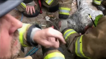 Bomberos salvan la vida a un perro al rescatarle de un incendio en Washington