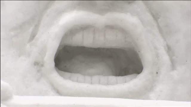 Arranca el festival de esculturas de hielo de Saporo (Japón)