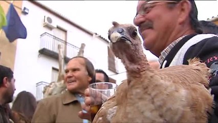Agreden a un cámara en Cazalilla por grabar cómo un encapuchado soltaba a una pava de un tejado