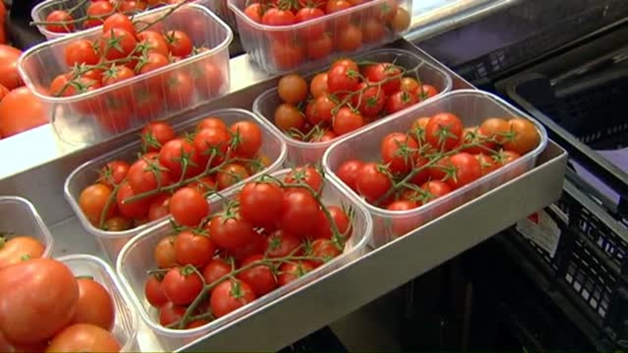 ¿A qué saben los tomates?