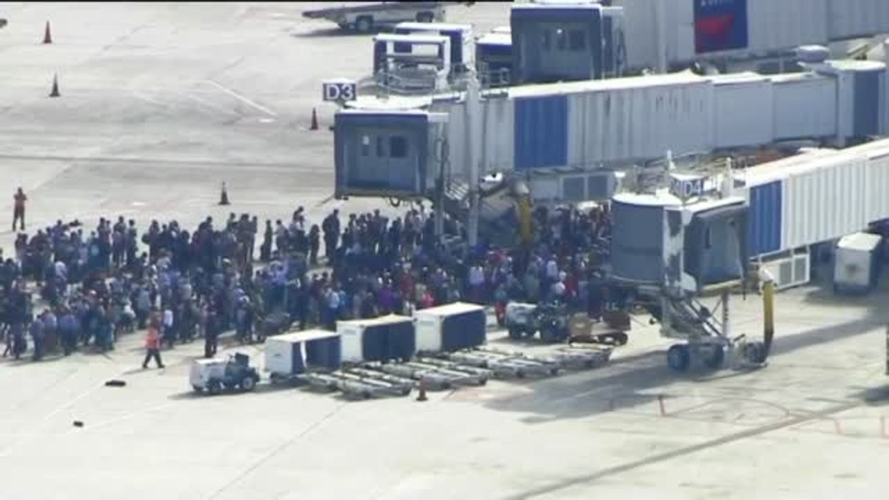Al menos cinco muertos en un tiroteo en un aeropuerto de Florida