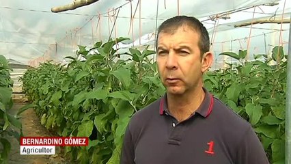 El temporal de nieve duplica el precio de las verduras en España