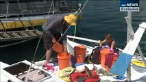 Un padre y su hija de seis años, a salvo tras un mes perdidos en el mar de Tasmania