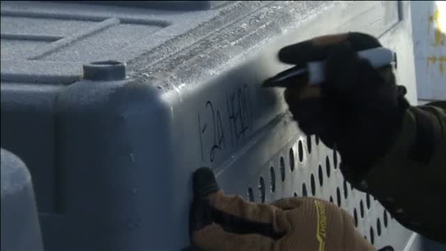 Rescatados 200 perros de una granja surcoreana para consumo humano