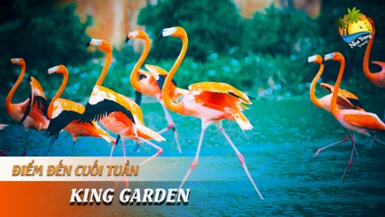 [ĐIỂM ĐẾN CUỐI TUẦN] -  TRẢI NGHIỆM THÚ VỊ TẠI VƯỜN QUÝ VƯƠNG | NHA TRANG TRAVEL