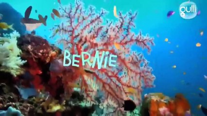 ᴴᴰ Zig & Sharko ✤ Funny Cartoon ✤ NEWEST SEASON Best Collection HOT 2018 in HD ✤ Part 12 ✤✓