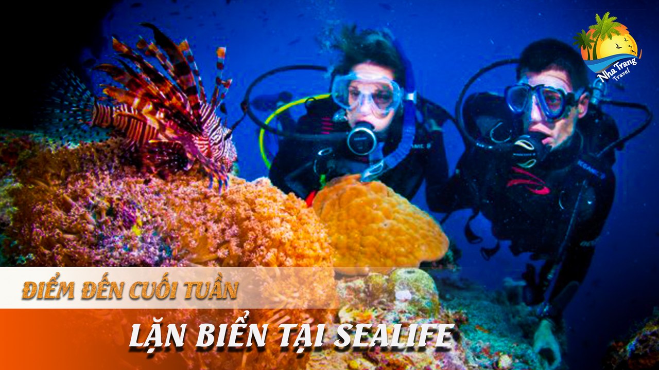 [ĐIỂM ĐẾN CUỐI TUẦN] -  KHÁM PHÁ ĐẠI DƯƠNG -  TRẢI NGHIỆM LẶN BIỂN THÚ VỊ TẠI SEALIFE | NHA TRANG TRAVEL